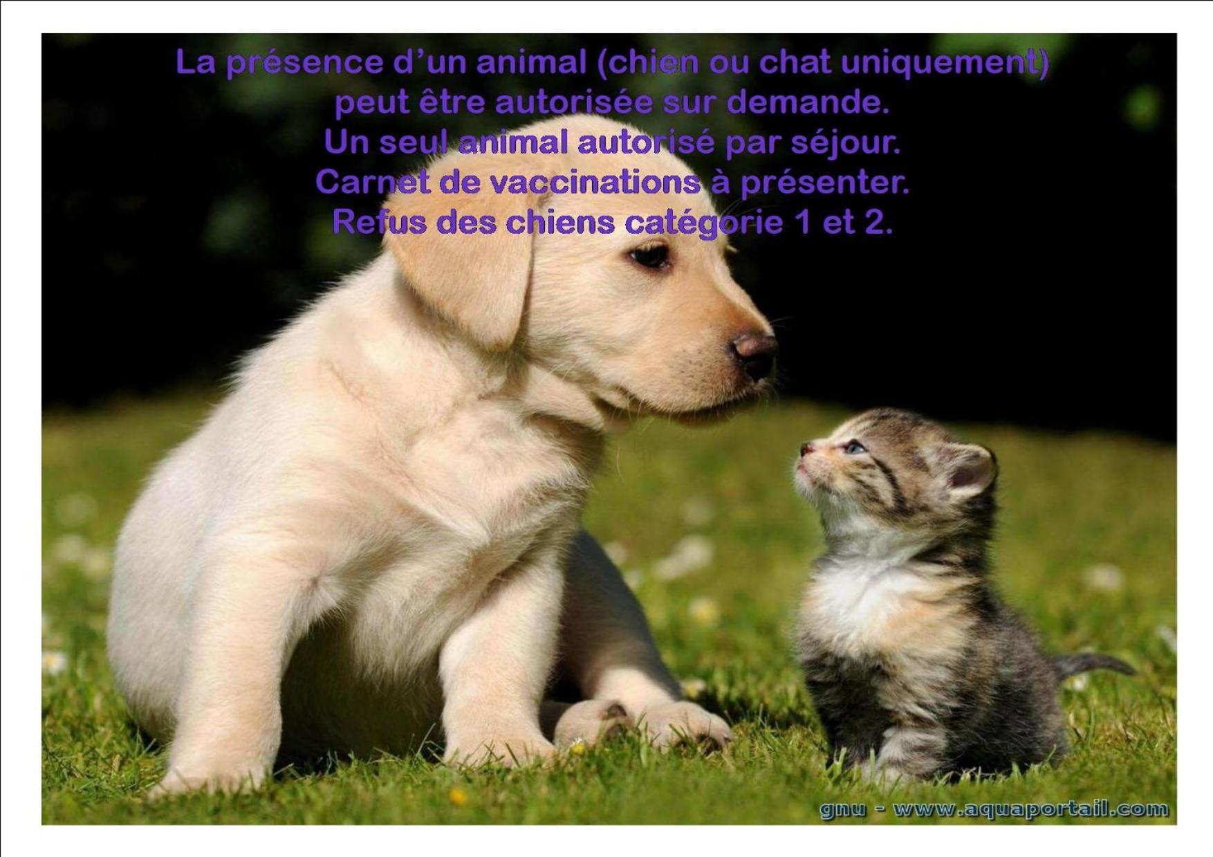 Le Gite Du Frene Poses Exterior photo
